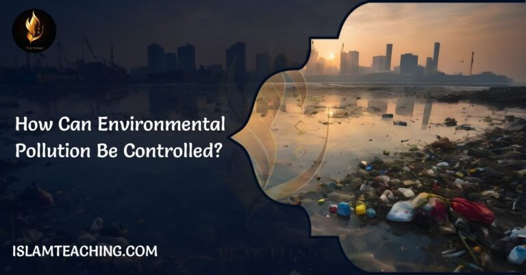 How Can Environmental Pollution Be Controlled?